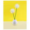 Q-tips Cotton Swabs For Hygiene and Beauty Care Original Cotton Swab Made With 100% Cotton 750 Count(750 Count (Pack of 3))