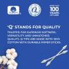 Q-tips Precision Tips Cotton Swabs 170 Count 2-Pack – Makeup Tools, Beauty, Personal Care & Household Essentials(170 Count (Pack of 2))